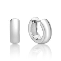 STERLING SILVER EARRINGS